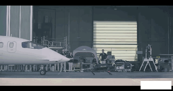 視頻：比波士頓動力還厲害，Hyqreal機器狗能拉動3噸重飛機
