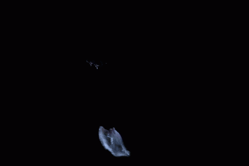 當(dāng)科技遇上藝術(shù)