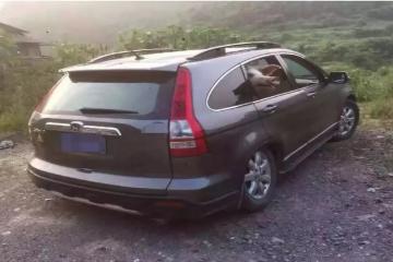 類物流：一輛面包車?yán)铮?4頭豬？！
