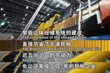中鼎集成助力輪胎企業(yè)進入 “智造時代”