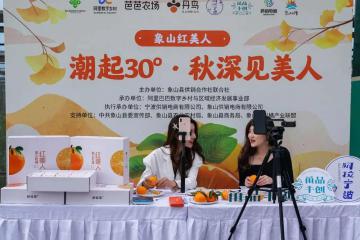 阿里巴巴這個(gè)重大升級(jí)，將為你的家鄉(xiāng)帶來(lái)什么新機(jī)會(huì)？