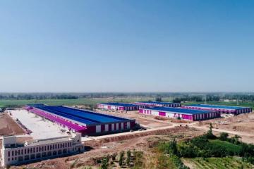 《人民日報》：有了產地倉，西梅賣得更好了