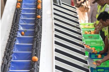 中國社科院發(fā)布快遞進(jìn)村主題報(bào)告