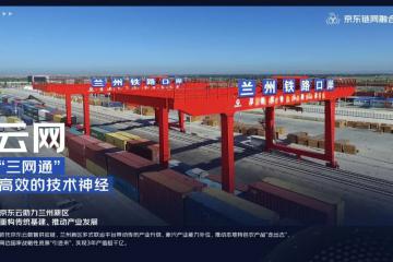 2022年世界500強(qiáng)京東躍升至46位 鏈網(wǎng)融合成為新型實體企業(yè)最佳實踐