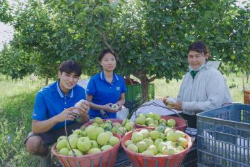 新疆中通網(wǎng)點(diǎn)的“生意經(jīng)”：駐點(diǎn)攬收，日發(fā)香梨2萬(wàn)單