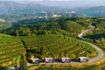 順豐深入原產(chǎn)地助力春茶香飄全國(guó)！