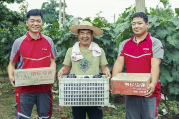 10年增長10倍！構(gòu)建農(nóng)村快遞服務(wù)新模式