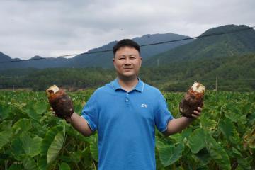 旺季網(wǎng)點說｜服務(wù)升級，只為更好相“芋”