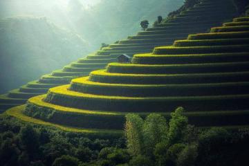 中國(guó)物流業(yè)十大綠色低碳典型