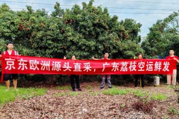 京東打通荔枝跨國冷鏈，48小時到消費(fèi)者餐桌