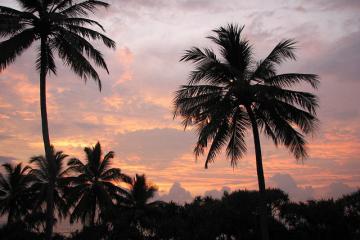 45倍躍升+17.8%毛利！中國物流企業(yè)激戰(zhàn)東南亞千億市場(chǎng)