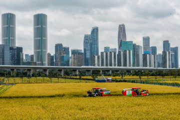 杭州成中國(guó)機(jī)器人與人工智能“搖籃