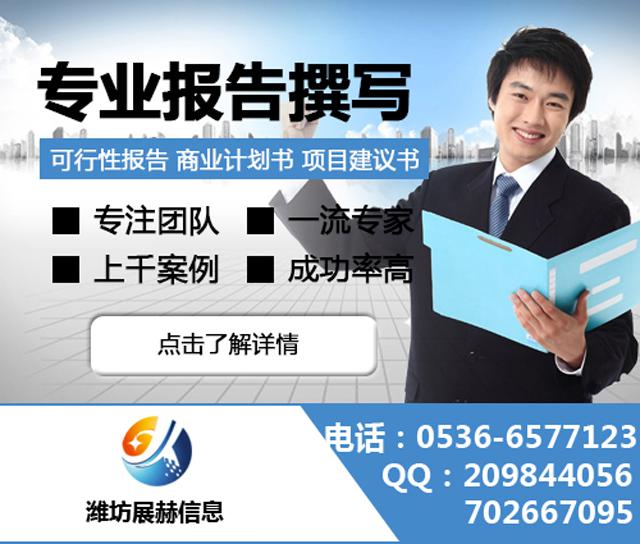 代寫融資計劃書,代寫商業(yè)計劃書，代寫可行性報告，代寫政府立項報告