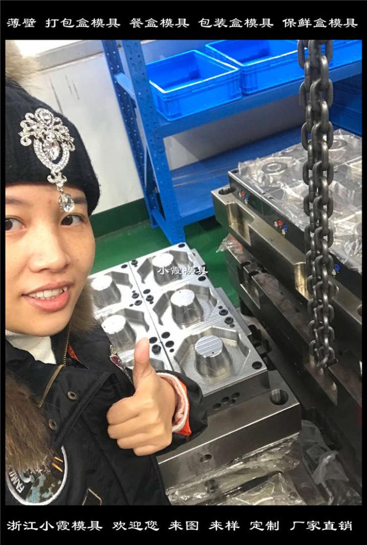 500ml薄壁便當(dāng)盒模具開(kāi)模成本