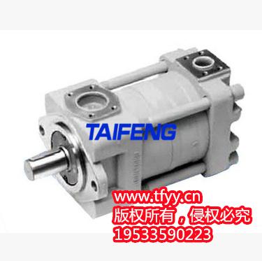 TFB1V63Y1X-LRB2柱塞泵價(jià)格泰豐智能