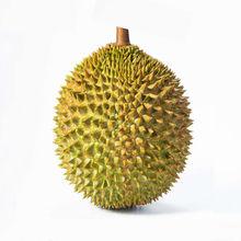 廣東進口馬來西亞貓山王金枕榴蓮原箱整件冷凍榴蓮報關(guān)清關(guān)