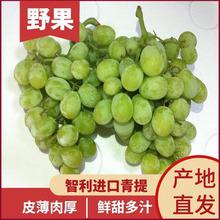 進口日本晴王無籽青提陽光網(wǎng)紅水果生鮮孕婦葡萄青島港報關(guān)