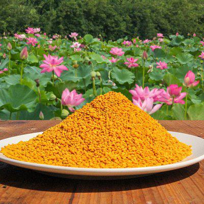 美國(guó)蜂花粉養(yǎng)蜂喂蜂純正蜜蜂飼料蜂蜜食品健康在常州港進(jìn)口報(bào)關(guān)