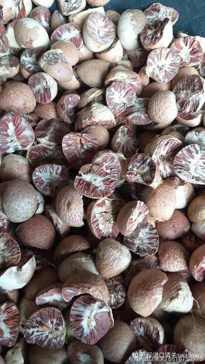 進(jìn)口馬來西亞檳榔果火鍋調(diào)料味料散裝整個非口嚼青島清關(guān)