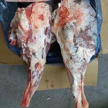 天津進(jìn)口澳大利亞澳洲去骨綿羊嫩腿肉羊腿冷凍羊肉報(bào)關(guān)清關(guān)