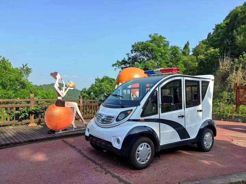 四輪四座電動(dòng)巡邏車(chē) 城管巡邏電瓶車(chē)