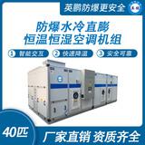 防爆水冷直膨恒溫恒濕空調(diào)機組-40匹