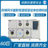 防爆風冷直膨恒溫恒濕潔凈空調(diào)機組